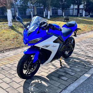 Moto de course à grande vitesse européenne 130 km/h, moto de haute qualité 5000W pour adultes - Product Image 3