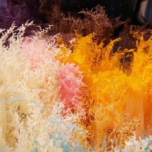 Ramo de Flores Secas para Decoración de San Valentín - Arreglo Floral Preservado para Regalo del Día del Maestro, Decoración de Mesa para Hogar u Oficina - Product Image 4