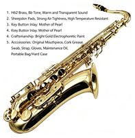 Wholesale/OEM/Factory Price Professional Performance of Tenor Saxophone in Brass , Wind Instruments for Adult