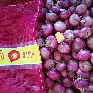 Bulk Wholesale Natural Holland Onions Fresh Onion For Export Red Onion Fresh In Bulk With Best Price