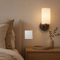 Serie HW 16A 250V Interruptor de Luz Duradero de PC con Botón Grande, Enchufe de Cableado Rápido Sin Tornillos, Diseño Moderno de Lujo, IP20, Uso Doméstico en la UE