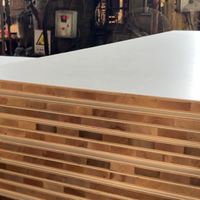 Panneau de contreplaqué mélaminé imperméable pour la fabrication de meubles sur mesure et la décoration intérieure