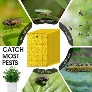 חומר נייר יעיל מאוד צהוב לעוף הדביק לוח דביק עבור הדברה מקורה - Product Image 3