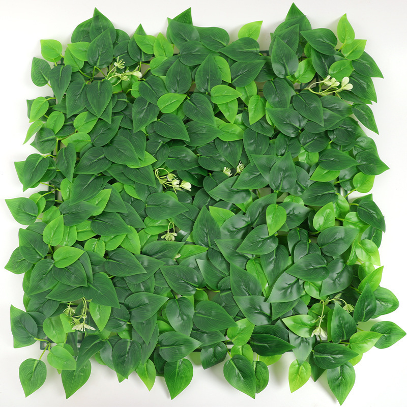 Pothos enduit de colle 50cm*50cm