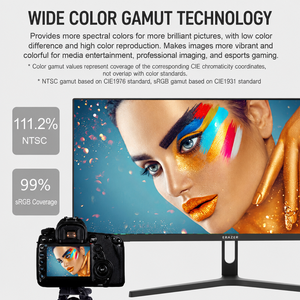 Monitor UltraWide ERAZER U3018PA-S de 29 Pulgadas, 21:9 IPS 2560x1080 100Hz, Pantalla para Computadora, DP/HDMI, Oficina, Juegos, Negocios, VESA - Product Image 2