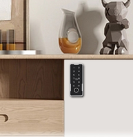 Serrure de cabinet à empreinte digitale, serrure électronique à code pour tiroir, serrure intelligente à carte RFID pour boîte aux lettres de bureau, casier de sauna