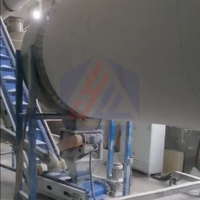 Séchoir rotatif commercial pour litière de chat en manioc – Équipement de séchage pour la réduction industrielle de l'humidité