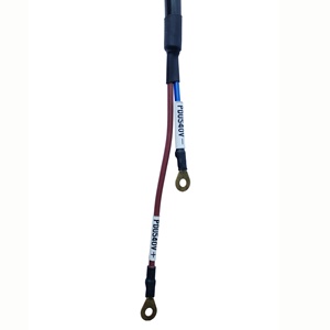 OEM/ODM 2 pines 2 POS PDU a arnés de cables de línea eléctrica DCDC 540V - Product Image 5