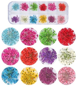 Decoración de <span class=keywords><strong>Uñas</strong></span> 3D de 12 Colores, <span class=keywords><strong>Flores</strong></span> <span class=keywords><strong>Secas</strong></span> Reales <span class=keywords><strong>para</strong></span> Gel UV y Puntas Acrílicas - Product Image 2