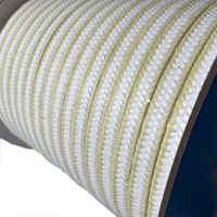 Empaquetadura de PTFE con Fibra de Aramida para Alta Temperatura, Alta Presión, Alta Velocidad, y Aplicaciones con Partículas