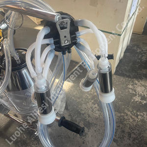 Máquina <span class=keywords><strong>de</strong></span> Ordeño Portátil para Animales, Equipo Eléctrico para Granjas <span class=keywords><strong>Lecheras</strong></span> y <span class=keywords><strong>de</strong></span> <span class=keywords><strong>Cabras</strong></span>, Gran <span class=keywords><strong>Venta</strong></span> - Product Image 5