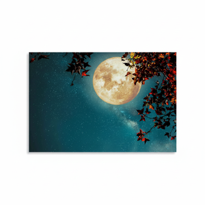 Printed <b>Canvas</b>: Full Moon <b>Wall</b> Art, Personalized Starry Sky Decor,WRAPPED <b>CANVAS</b> - Product Image 2