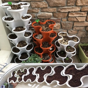 Planteur <span class=keywords><strong>de</strong></span> jardin Vertical en plastique, <span class=keywords><strong>Pot</strong></span> <span class=keywords><strong>de</strong></span> plantes à empiler 5 niveaux, avec roues mobiles, Pots <span class=keywords><strong>de</strong></span> plantation intelligents <span class=keywords><strong>pour</strong></span> légumes et fleurs - Product Image 2