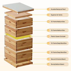 Kit de Colmena Langstroth de Fábrica OEM, Equipo de Apicultura, Colmena de Madera - Product Image 2
