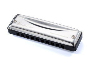 <span class=keywords><strong>Harmonica</strong></span> <span class=keywords><strong>diatonique</strong></span> professionnel durable et écologique à <span class=keywords><strong>10</strong></span> <span class=keywords><strong>trous</strong></span> avec couvercle en acier inoxydable et plaque de lamelles en laiton de style blues - Product Image 4