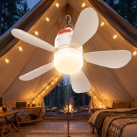 Ventilateur de plafond rechargeable avec lumière LED, télécommande, mini-ventilateur portable, design moderne pour chambre, salon, extérieur