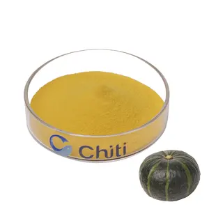 Chiti approvisionnement d'usine 100% poudre d'extrait de citrouille poudre de citrouille grande saveur pour boissons poudre instantanée de citrouille sans OGM