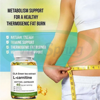 VitaSpring Supplément Brûleur de Graisse Extrait de Thé Vert Minceur Matcha Bio CLA L-carnitine Gélules au Thé Vert