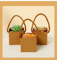 Sacs en papier carrés personnalisés pour plantes succulentes, avec poignée en corde, pour boîte cadeau, vente en gros