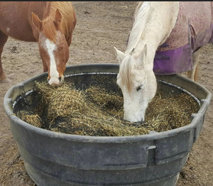Rede de Alimentação Lenta para Cavalos, Alimentador Retangular em Rede para Feno, Personalizável - Product Image 2