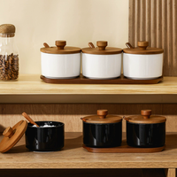 Ensemble de pots à épices en céramique avec couvercle en céramique, cuillère en bois et support, design vintage, accessoires de cuisine imperméables pour la maison