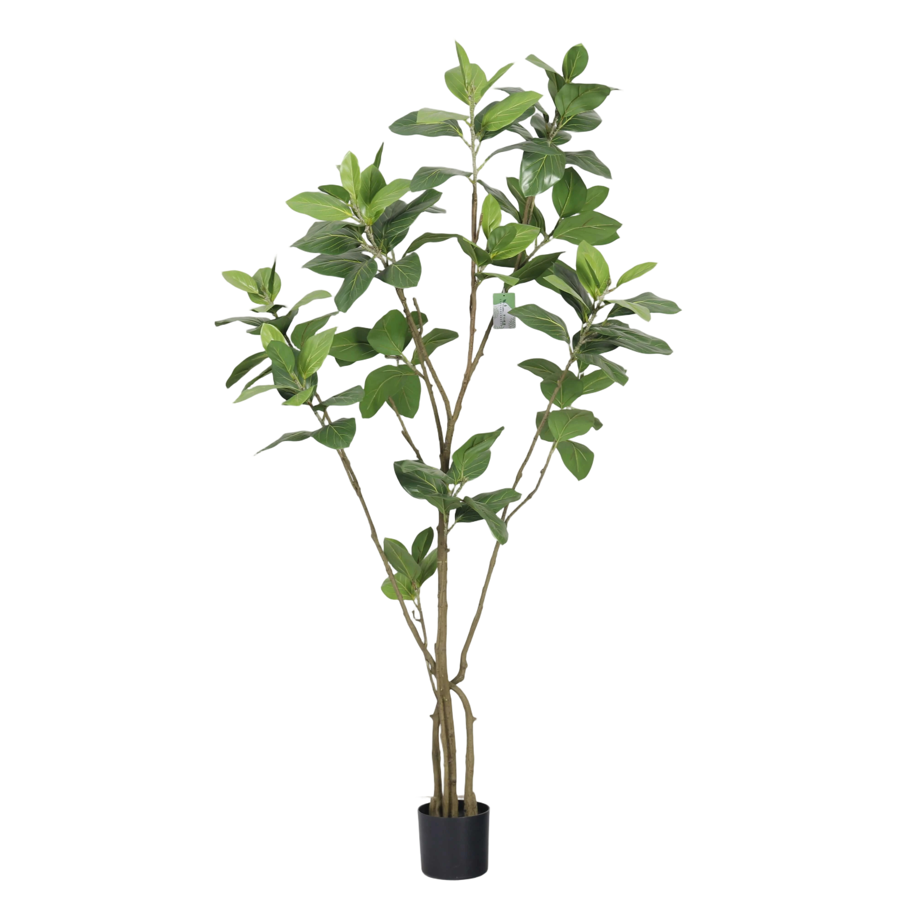 Vert A-180cm