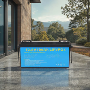 Лидер продаж, 12 В, 24 В, 50ах-200 А/ч, литий-ионная солнечная батарея LiFePO4 с батарейным аккумулятором большой емкости - Product Image 3