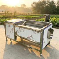 Professionele continue elektrische aardappelborstelrolwasmachine voor voedselverwerkingslijnen