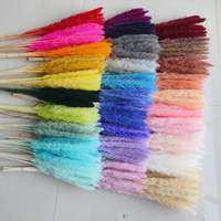 Fleurs séchées de pampa (blanchies) pour décoration de mariage, fête des mères, Saint-Valentin, Noël, Pâques - Multicolore, 60 cm de longueur