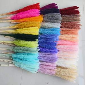 Fleurs séchées de pampa (blanchies) pour décoration de mariage, fête des mères, Saint-Valentin, Noël, Pâques - Multicolore, 60 cm de <span class=keywords><strong>longueur</strong></span> - Product Image 6