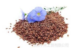 Produk penjualan terbaik tekanan dingin benih rami <span class=keywords><strong>Linseed</strong></span> untuk minyak esensial 25 kg dengan harga grosir terbaik untuk perawatan rambut dan pijat - Product Image 6
