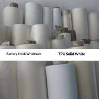 Penjualan Langsung Pabrik Guangdong TPU Film Warna Solid Matte Tahan Air Karet Lembut Ketebalan 0.1-2.0mm Isolasi Tas Pakaian