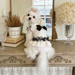 Hi Kitty polka dot lace dress, summer thin, breathable, cute <b>clothes</b> for <b>cats</b> and dogs, Teddy, Bichon Frise, and small dog - Product Image 5