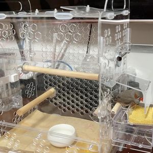 <span class=keywords><strong>Cage</strong></span> à oiseaux en acrylique transparent suspendu <span class=keywords><strong>Cage</strong></span> à oiseaux maison <span class=keywords><strong>Cage</strong></span> de bain d'oiseaux pour perroquets ara inséparables accessoires d'oiseaux - Product Image 3