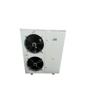6HP ZF18KQE-TFD cella frigorifera a bassa temperatura copeland scroll compressore unità di condensazione raffreddata ad aria