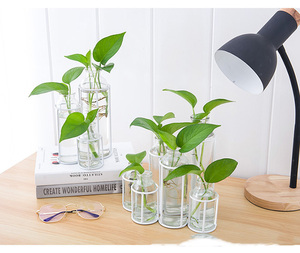 Flower Vases With 3/6 Bottles Metal <b>Stand</b> Racks Hydroponic Set Propagation Station Plant Display Holder for Home Decor - Product Image 4