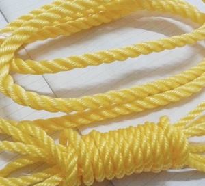 1mm đến 20mm giá rẻ màu Nylon <span class=keywords><strong>PP</strong></span> <span class=keywords><strong>Polypropylene</strong></span> đóng gói dây - Product Image 5