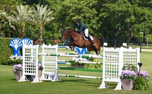 How to Build Your Own Outdoor Anti Rust Welded Racing Training <strong>Horse</strong> <strong>Jump</strong> Stands - Product Image 4