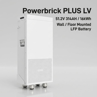 Batterie au lithium Dyness Powerbrick PLUS LV 51.2V 314AH/16kWh à montage mural ou sur pied avec écran intégré pour vérification rapide