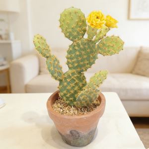 Cactus artificiel <span class=keywords><strong>en</strong></span> <span class=keywords><strong>pot</strong></span> avec fleurs jaunes pour la décoration de la maison et du bureau - Product Image 3