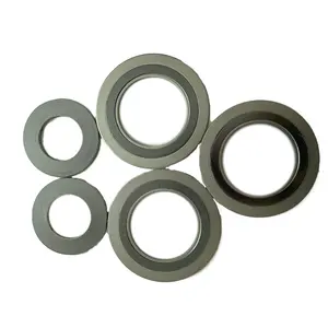 Industrial Standard Seal Metallic Spiral Wound Gasket Carbon Steel Gasket Ss304 Spiral Wound Gasket
