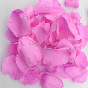 Pétalos de Rosa Preservados, Confeti para Bodas, Pétalos Grandes Rojos, Blancos, Azules y Rosas, Cesta para Niña de las Flores, Flores Secas, Decoraciones Navideñas - Product Image 5