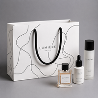 Sacs cadeaux en papier personnalisés en masse, impression couleur classique, sérigraphie multicolore, réutilisables pour cosmétiques et parfums