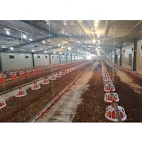 Ferme aviculture/poulailler volaille/poulailler à faible coût