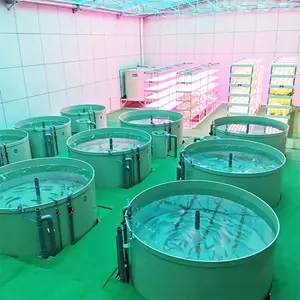 Un autre équipement d'aquaculture améliorant l'efficacité de l'aquaculture Système RAS avancé pour les poissons et innovations en pisciculture