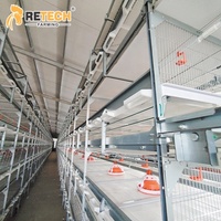 Équipement d'élevage de volailles Ferme avicole Cage à poulets de chair Équipement d'élevage de volailles
