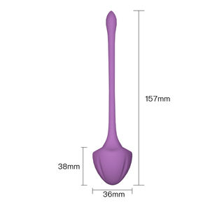 2025 Bestseller 5 Größen Anfänger Fortgeschrittene Frauen Ben Wa Kugeln Beckenbodenstraffung Kegel-Übung Kegel-Gewichte - Product Image 6