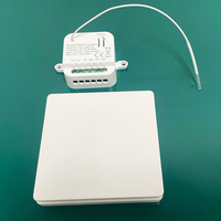 Interruptor de Pared Inalámbrico con Regulador de Luz 10A RF433, Sin Necesidad de Batería, Autoalimentado, IP44, Compatible con Smart Life/App