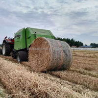 Machine agricole pour ensilage de maïs et ensilage de paille / Presse à foin / Mini-presse à foin ronde à prix abordable