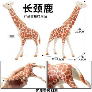 Modelli di Simulazione della Fauna Selvatica per Bambini Yxs, Giocattoli Educativi di Giraffa, Elefante, Ippopotamo, Zebra e Tigre - Product Image 4